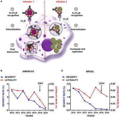 Antibody-Dependent Enhancement and Zika: Real Threat or Phantom Menace?